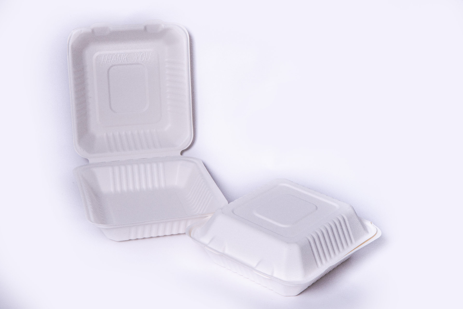 Clamshell caña 8" (203 × 203 × 63 mm)